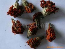荨麻根 荨麻根