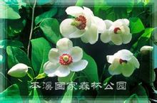 本溪国家森林公园 本溪国家森林公园