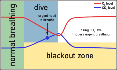dissolved gas  溶解的气体与固体 dissolved gases and solids